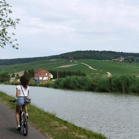 Le 29 - Appartement Au Coeur Du Vignoble Champenois Damery  Dış mekan fotoğraf