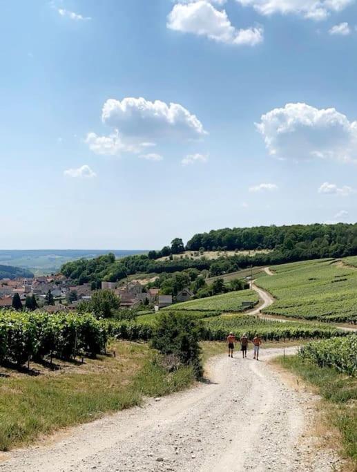 Le 29 - Appartement Au Coeur Du Vignoble Champenois Damery  Dış mekan fotoğraf