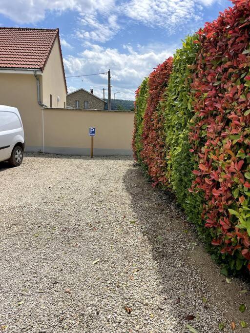 Le 29 - Appartement Au Coeur Du Vignoble Champenois Damery  Dış mekan fotoğraf